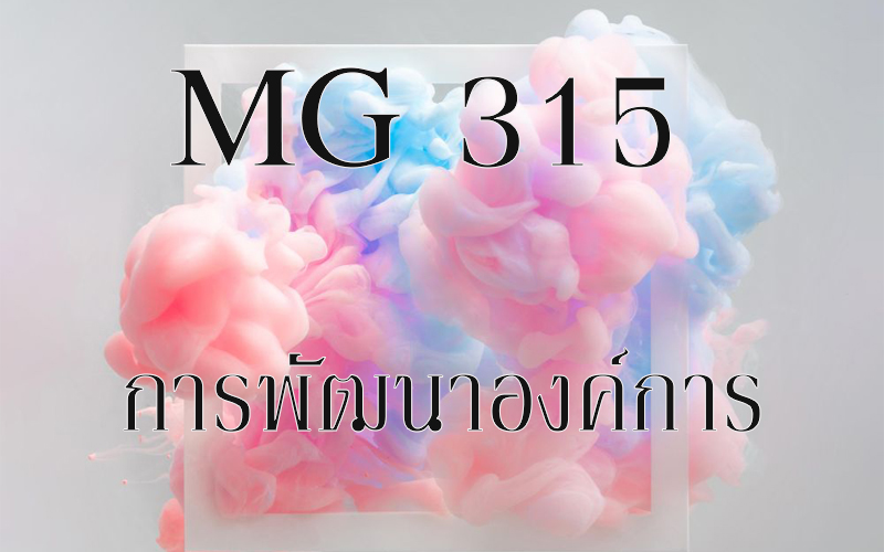 MG 315 การพัฒนาองค์การ